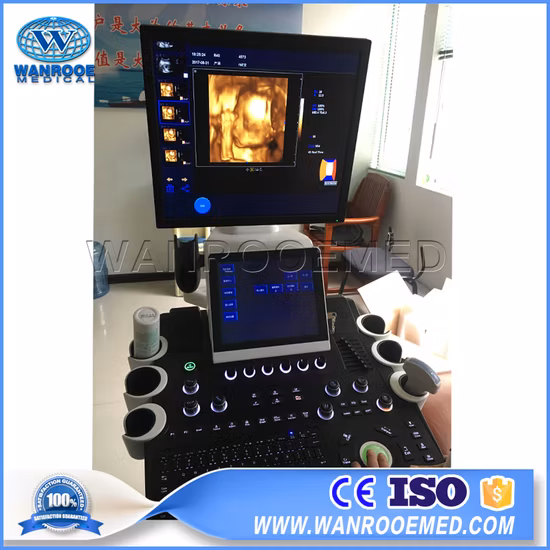 Scanner per ultrasuoni Doppler a colori per sistema diagnostico a ultrasuoni 4D per carrello medico Usc900